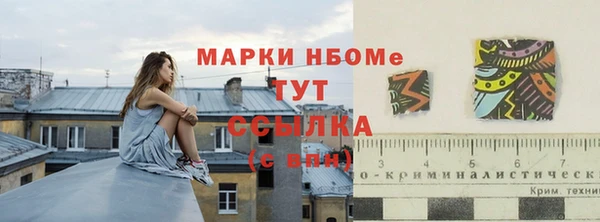 СК Алексин