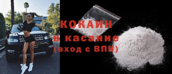 СК Алексин