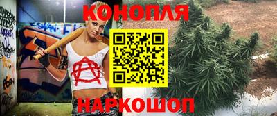 индика Бузулук