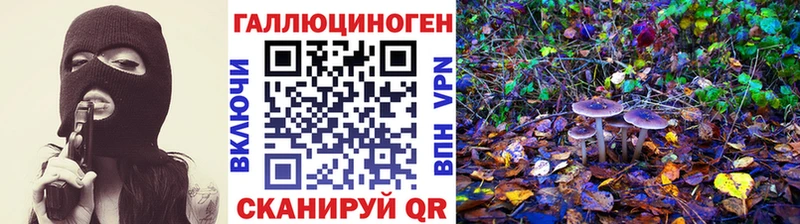 Псилоцибиновые грибы Magic Shrooms  даркнет сайт  ОМГ ОМГ зеркало  Ефремов 