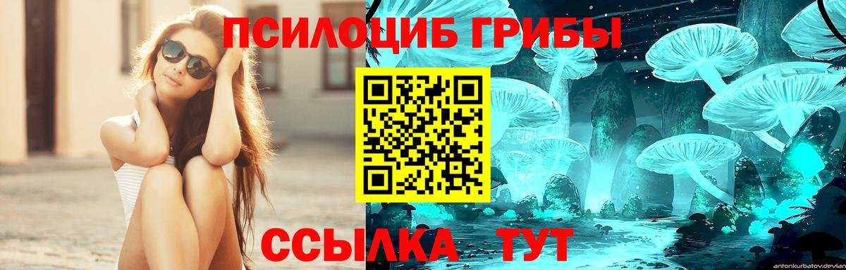 Псилоцибиновые грибы GOLDEN TEACHER  Вход с VPN  Ефремов  Галлюциногенные грибы Psilocybine cubensis 